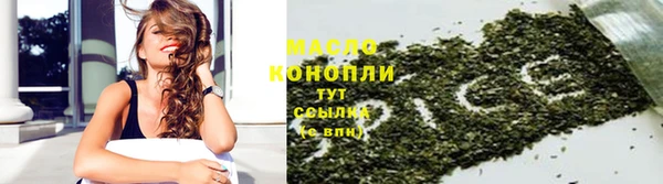 крисы Коряжма