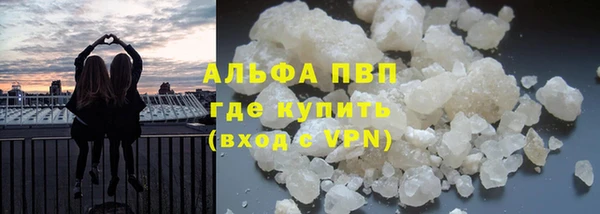 крисы Коряжма
