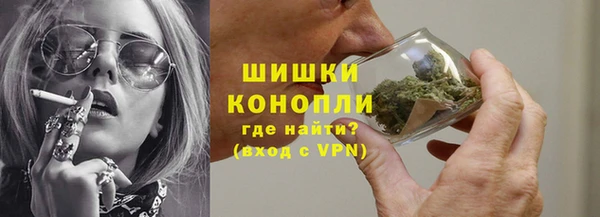 крисы Коряжма