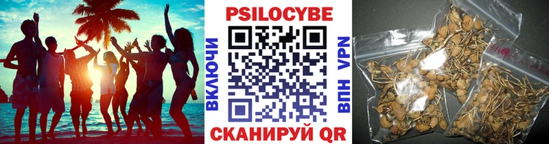 Псилоцибиновые грибы MAGIC MUSHROOMS  цены наркотик  Приволжск 